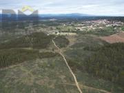 Castelo Branco Castelo Branco 88040836