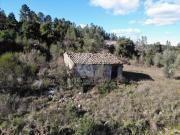 Castelo Branco Castelo Branco 88417417