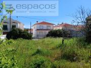Castelo Branco Castelo Branco 88954197