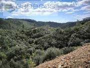 Castelo Branco Castelo Branco 89074303