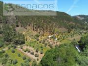 Castelo Branco Castelo Branco 90181317