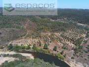 Castelo Branco Castelo Branco 90394228