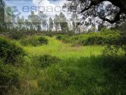 Castelo Branco Castelo Branco 90670361
