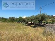 Castelo Branco Castelo Branco 91353939