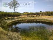 Castelo Branco Castelo Branco 91913936