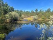 Castelo Branco Castelo Branco 92129242