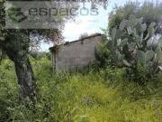 Castelo Branco Castelo Branco 92259021