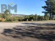 Castelo Branco Castelo Branco 92334862