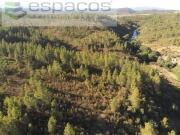Castelo Branco Castelo Branco 93075514