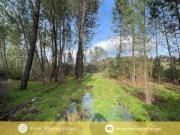 Castelo Branco Castelo Branco 93398121