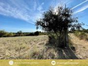 Castelo Branco Castelo Branco 93398122