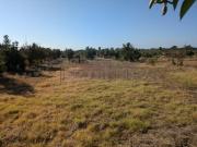 Castelo Branco Castelo Branco 93497995