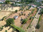 Castelo Branco Castelo Branco 94088616