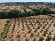 Castelo Branco Castelo Branco 94748941