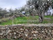 Castelo Branco Castelo Branco 95150300