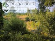 Castelo Branco Castelo Branco 95388320