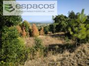 Castelo Branco Castelo Branco 95481482