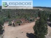 Castelo Branco Castelo Branco 95488694