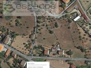 Castelo Branco Castelo Branco 95660256