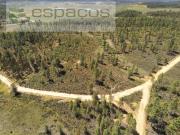 Castelo Branco Castelo Branco 95660262