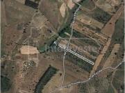 Castelo Branco Castelo Branco 96038605