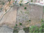 Castelo Branco Castelo Branco 97119947