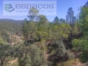 Castelo Branco Castelo Branco 97120202