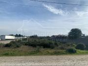 Castelo Branco Castelo Branco 97121240