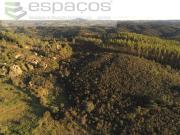 Castelo Branco Castelo Branco 97121310