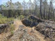 Castelo Branco Castelo Branco 97123116