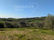 Castiglione Del Lago Umbria 89546819