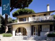 Castiglione della Pescaia Grosseto LS81995339