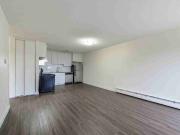 Castle Court 2 Bedroom Apartment for Rent at 14407 121...