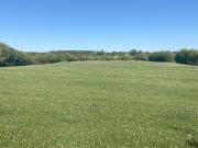Castlefogarty, Ballycahill, Thurles, Co. Tipperary