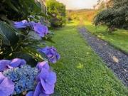 Castle Hill, Carlingford, County Louth Michael Lavelle...