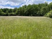 Castres 81100 Programme neuf terrain neuf à vendre