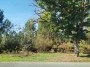 Castres Gironde Vente Terrain 33