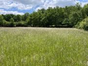 Castres Vente Terrain 81