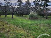 Castres Vente Terrain 81