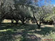 Castries 34160 Achat / Vente terrain