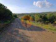 Castro Marim Faro 82140385