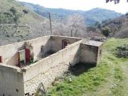 Catania SiciliaSicily LS94425571