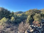 Catllar 66500 Achat / Vente terrain