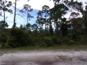 Catridge Cir, Punta Gorda, Plot For Sale