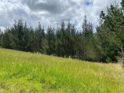 CAYAMBE, 34.600 MTS, SECTOR LA CHIMBA,IDEAL PARA...