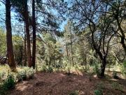 Cañada de Alferez: Terreno residencial en venta en...