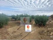 cañada san pedro sucina