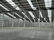 Cañaveral Cerro San Luis/Panamericana Norte Quilicura...