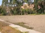 Terreno en venta en Cañete, Santa Cruz de Flores,...