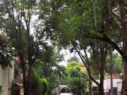 CC BAJÓ DE PRECIO! VENTA DE HERMOSA Y AMPLIA CASA, SANTA...